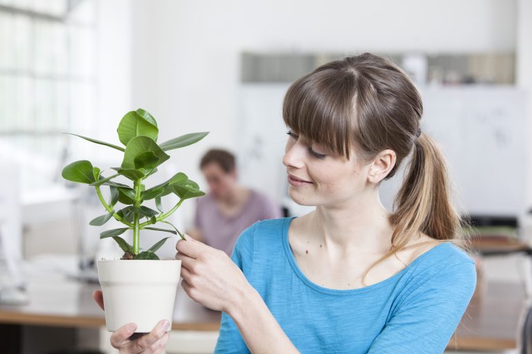 Portrait of young woman with potted plant in an creative office